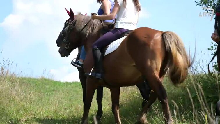 Mūsų gyvūnai. Energingi mažieji žydrieji Gaskonės skalikai. Invaziniai šliužai. Kartezianinės katės.