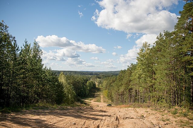 Ministerija siūlo miškų įstatymo pakeitimus, bet aplinkosaugininkų pasiūlymai netenkina