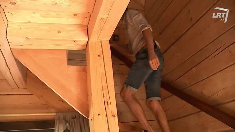 Kodėl D. Teišerskytė neranda ramybės namuose.