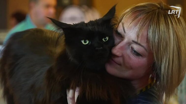 Mūsų gyvūnai. Aktoriaus S. Uždavinio augintinis. Akvariumo apželdinimas. Tarptautinė kačių paroda. Namuose gyvenantys vorai.