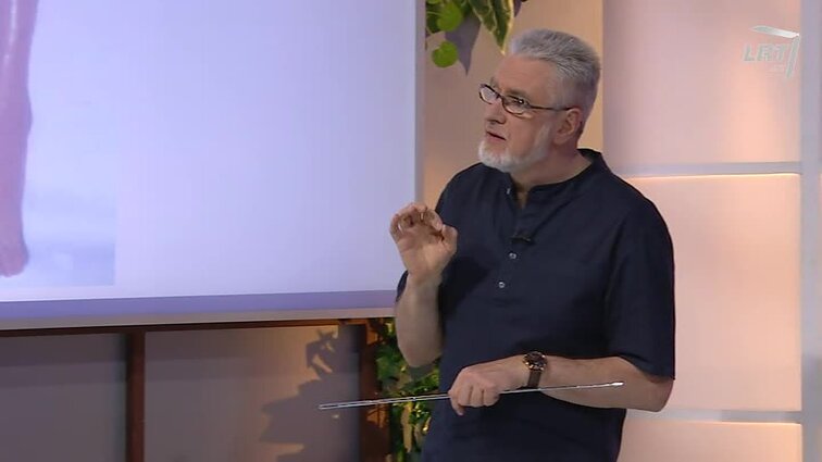 Klauskite daktaro. Visiems gresia sąnarius griaunanti liga. Kaip išvengti kraujo krešulių?