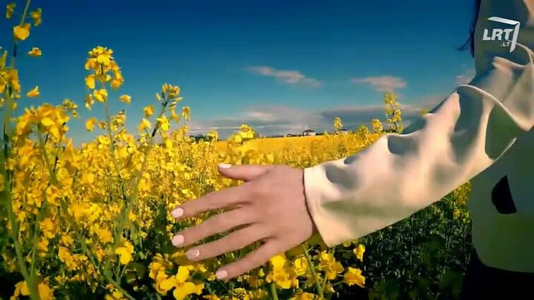 Vartotojų kontrolė