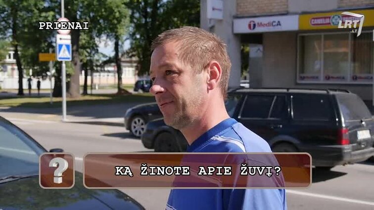 Klausimėlis.lt Ką žinote apie žuvis?