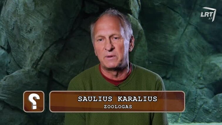Klausimėlis.lt Ką žinote apie žuvis?