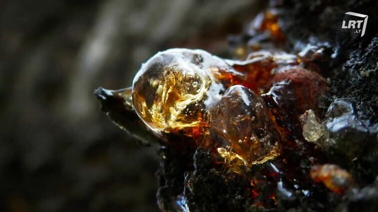 Vartotojų kontrolė