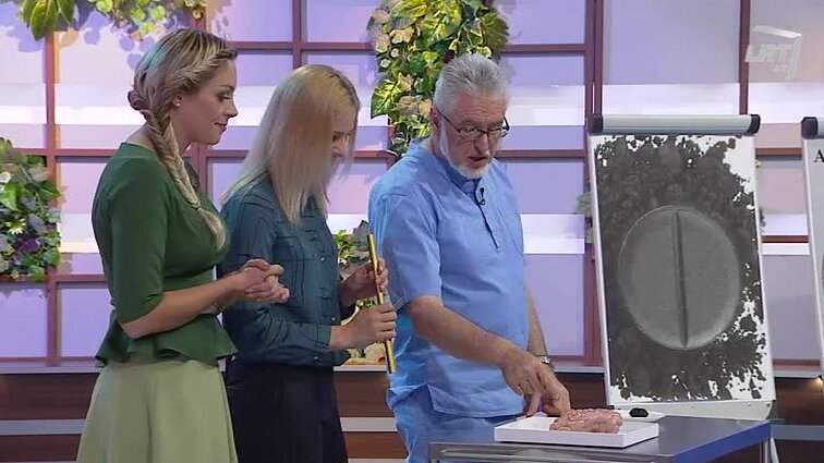 Klauskite daktaro Ar tikrai angliukas – panacėja nuo visų ligų? Mitai ir tiesa apie imunitetą.