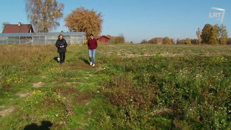 Mišrus Zitos ir Vytauto Keršių ūkis Varėnos rajone