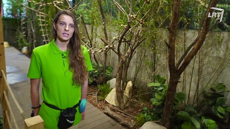 Mūsų gyvūnai. Marmozečių istorijos. Juodos katės. Skulptoriaus S. Jurkaus darbai. Lietuvos upėse gyvenantys ūsoriai.