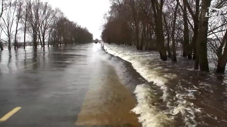 Ryto suktinis su Zita Kelmickaite.