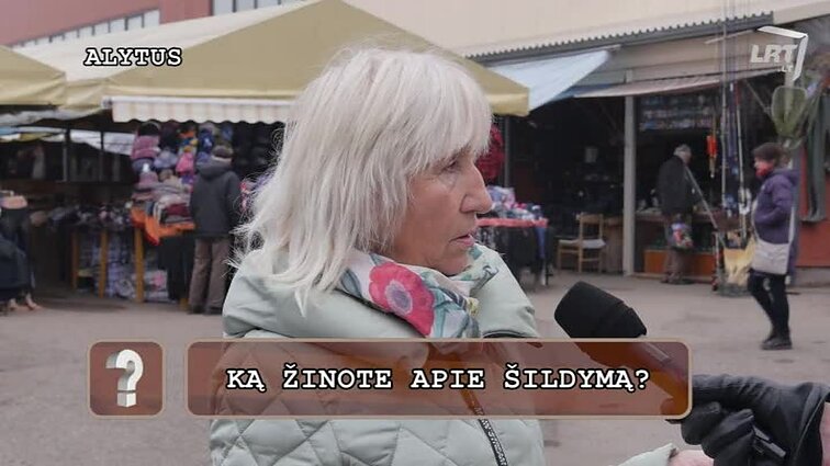 Klausimėlis.lt Ką žinote apie šilumą ir energijos taupymą?