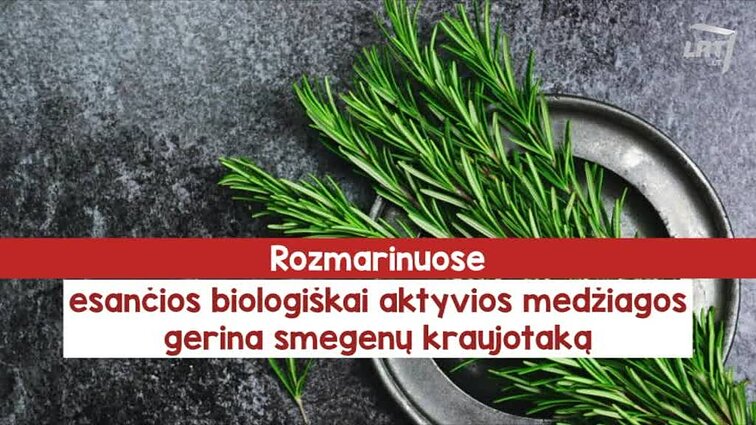 Klauskite daktaro Prieskoniai jūsų virtuvėje – sveikatai gerinti.