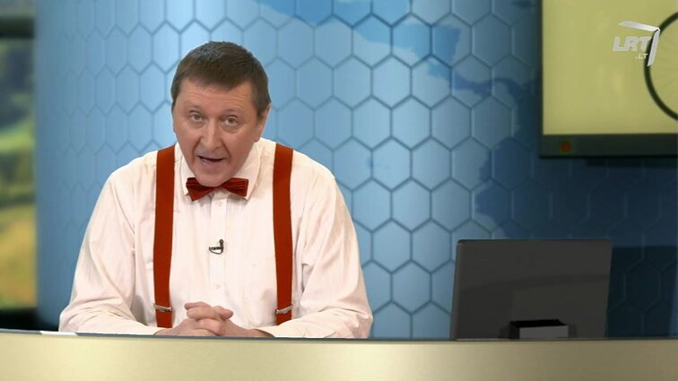 Gražulis kalba su Donaldu Trumpu: noriu, kad teta Neringa liktų Amerikoje