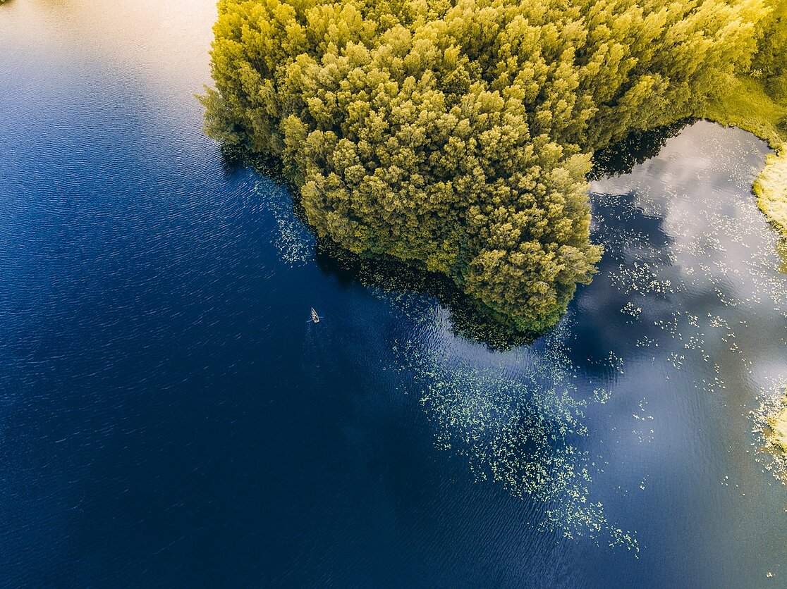 Unsplash  nuotr.