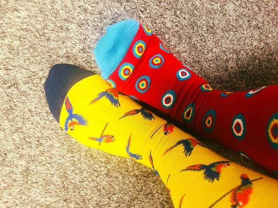 Monika Garbačiauskaitė-Budrienė