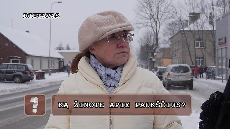 Klausimėlis.lt. Ką žinote apie paukščius?