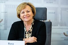 NATO Parlamentinės Asamblėjos delegacijos vadovė Rasa Juknevičienė NATO Parlamentinės Asamblėjos delegacijos vadovė Rasa Juknevičienė