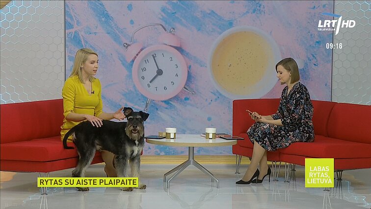 Labas rytas, Lietuva I dalis