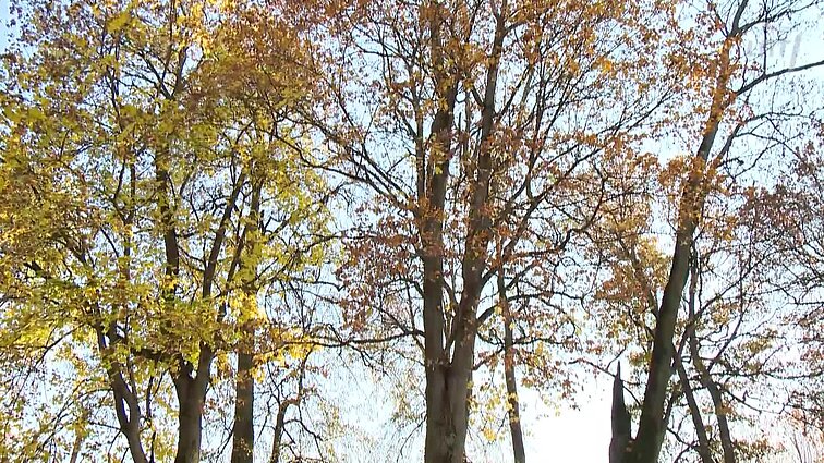 Buvęs medinis Ponų namas Širvintų rajone, Viršuliškių kaime, šiandien - daugiabutis.