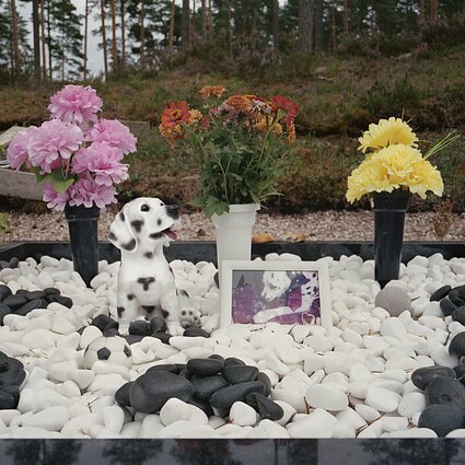 Gyvūnų kapinės Rygoje