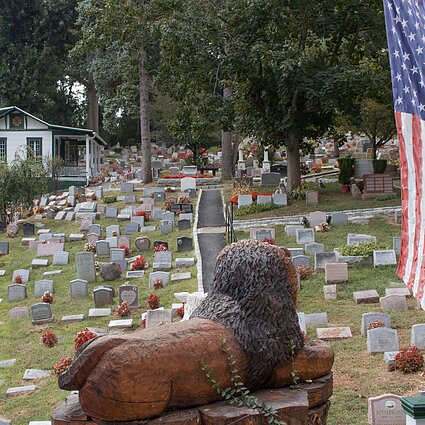 Gyvūnų kapinės Niujorke