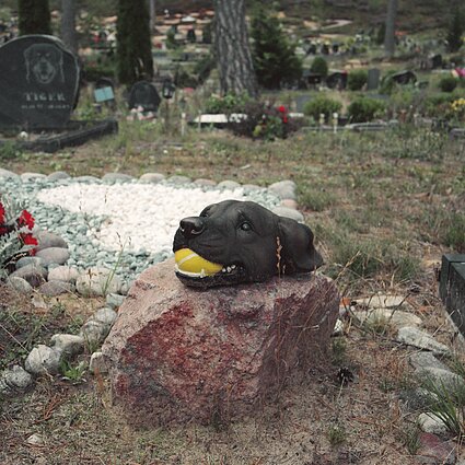 Gyvūnų kapinės Rygoje