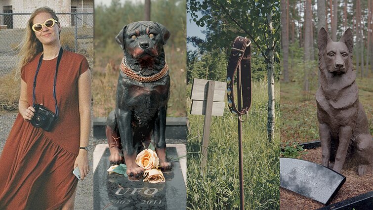 Asta Ostrovskaja, gyvūnų kapinės