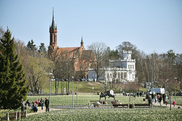 Pavasarinis gamtos grožis, kurio nepastebime: gamtininkas papasakojo apie įdomius augalus, pro kuriuos dažniausiai praeiname