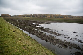Apsemti laukai Apsemti laukai