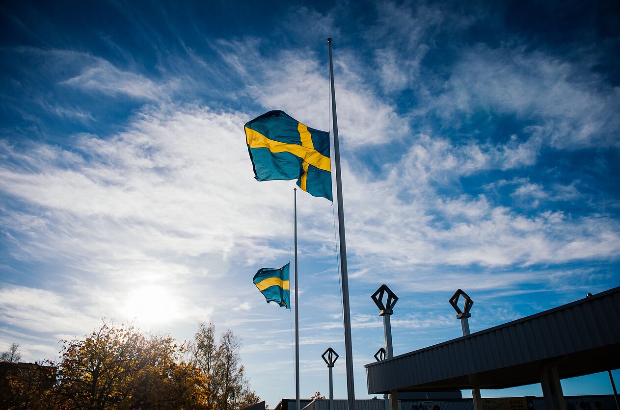 Swedis flag (associative image)