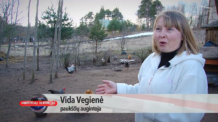 Vartotojų kontrolė. Visa tiesa apie kiaušinius