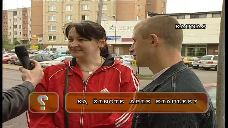 Klausimėlis: ką žinote apie kiaules? Ką žinote apie kiaules?
