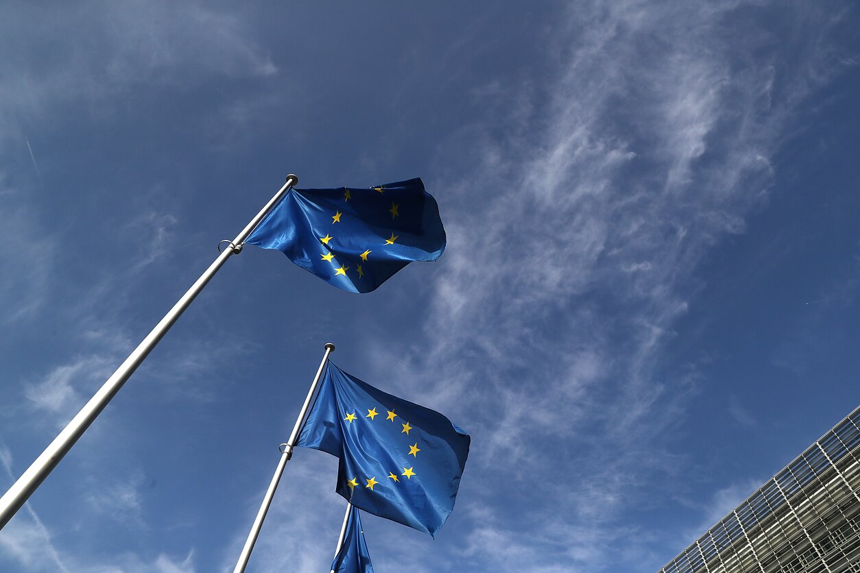Europos Sąjungos vėliava Europos Sąjungos vėliava
