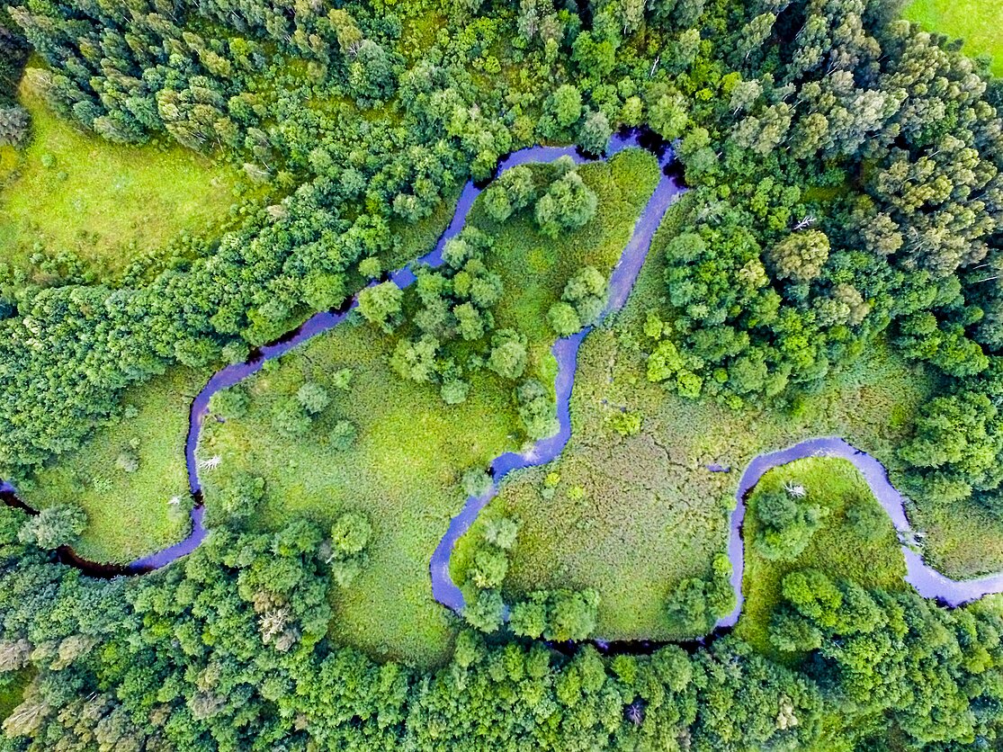 Labanoro giria iš paukščio skrydžio Labanoro giria iš paukščio skrydžio