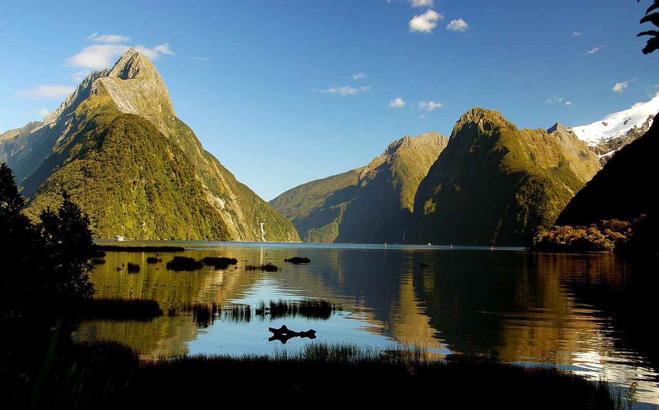 Milford Sound fiordas Milford Sound fiordas