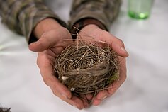 Meldinės nendrinukės lizdelis