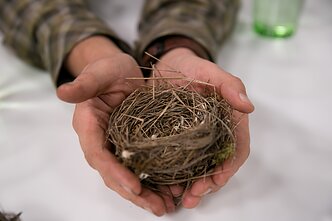Meldinės nendrinukės lizdelis Meldinės nendrinukės lizdelis