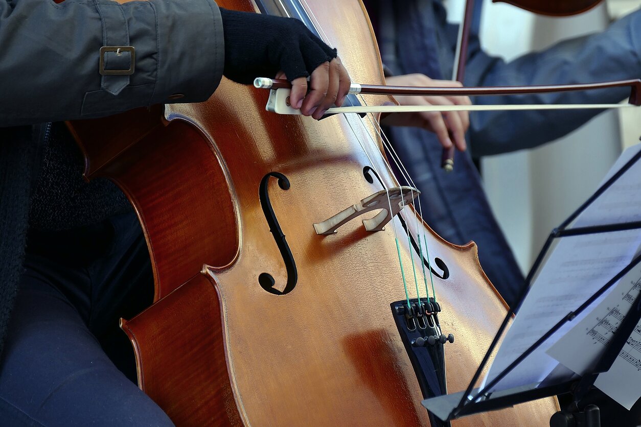 Pixabay.com nuotrauka, Violončelė