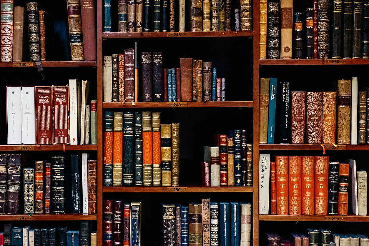 Iñaki del Olmo/Unsplash nuotr., Knygos
