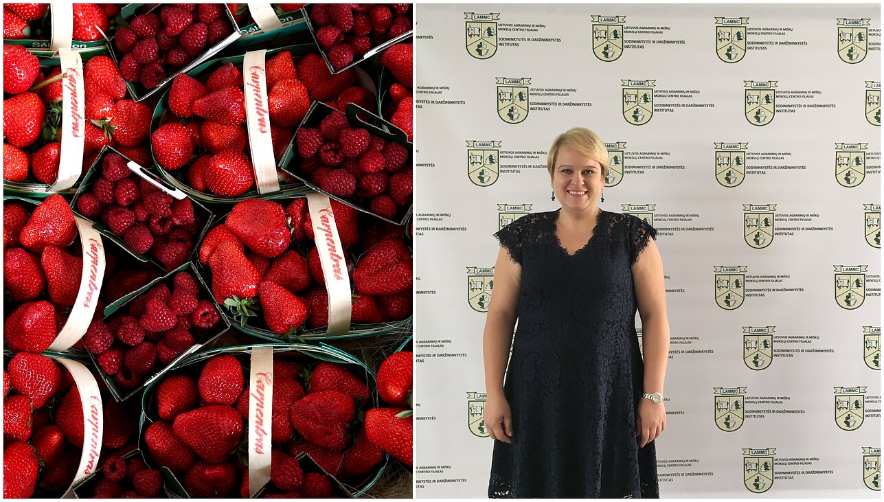 Neringa Rasiukevičiūtė Neringa Rasiukevičiūtė