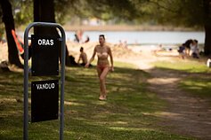 Vasariški orai