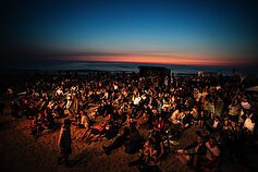 Muzikos festivalis