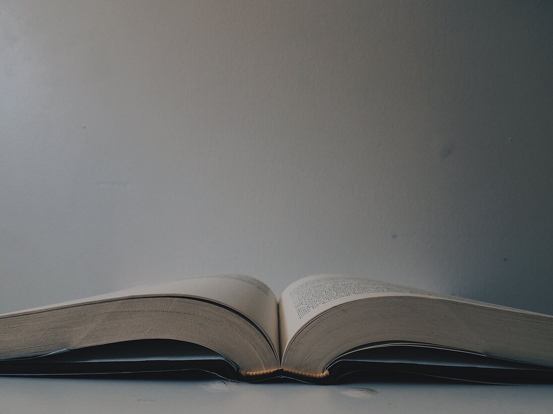 Lalaine Macababbad, Knyga