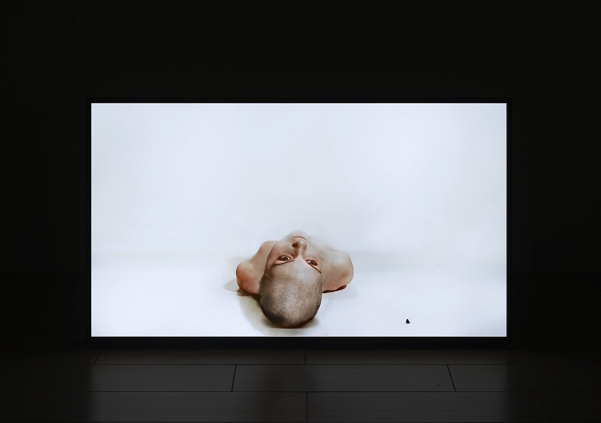 Lauros Sabaliauskaitės vaizdo instaliacija