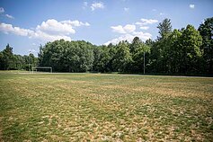 Radvilų progimnazijos sporto aikštynas