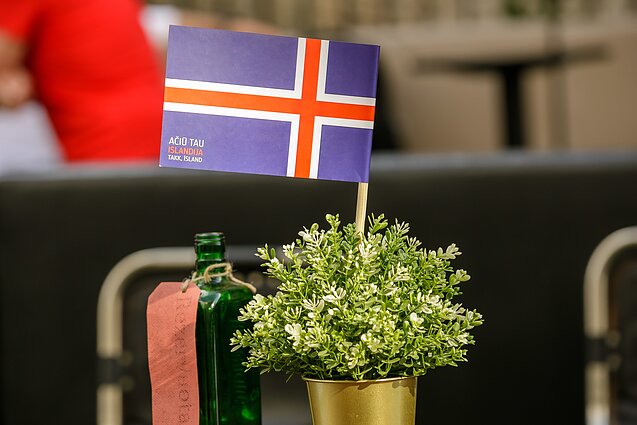 Maža valstybė nesumažina ambicijų ir noro veikti: Islandijos ekonomikos stebuklas