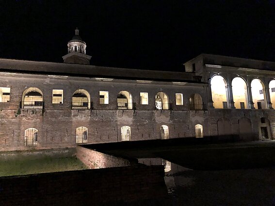 Laisvydės Šalčiūtės ir Gehardo Demetzo paroda „Coming Out“ Mantujos kunigaikščių rūmuose.