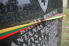 Lietuvos partizanai Lietuvos partizanai