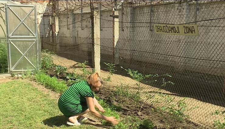 Gardening at Panevėžys Women's Correctional Facility
