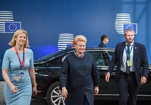 Dalia Grybauskaitė dalyvauja Europos Vadovų Tarybos suvažiavime