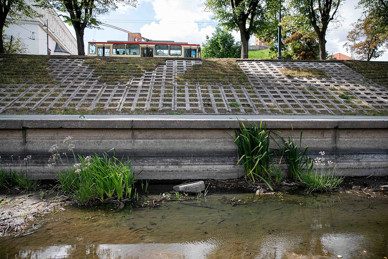 Neris river in Vilnius has bit severely hit by the nationwide drought 